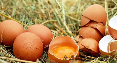 小暑时节的饮食调养