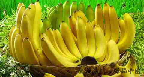 立秋吃什么水果好