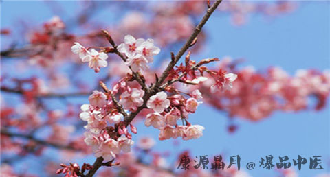 小满节气的特点