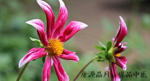 关于小满的谚语