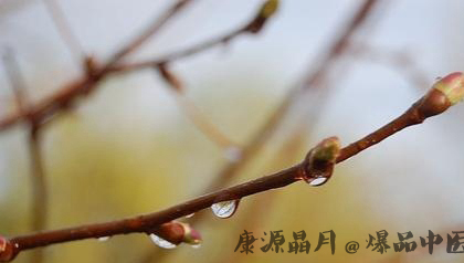 雨水节气如何养生