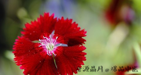大暑小暑是什么意思