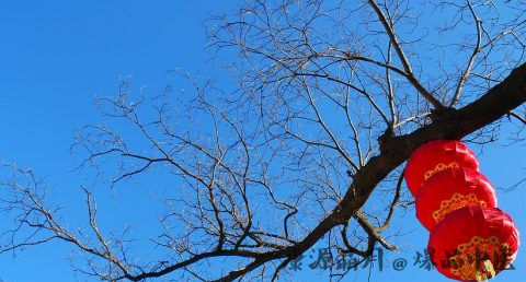 年初二是什么星座
