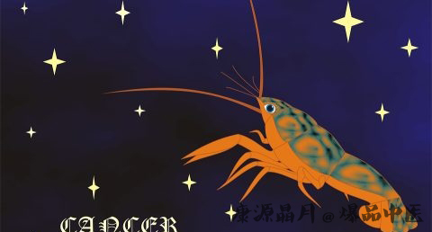 大年初七是什么星座
