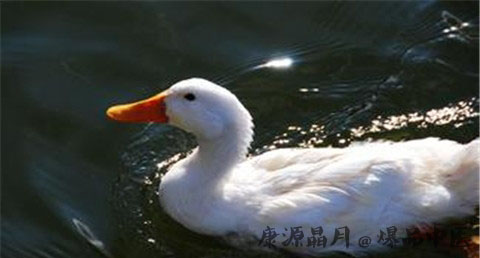 2016处暑是什么时候