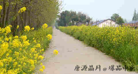 清明节中元节重阳节有什么区别