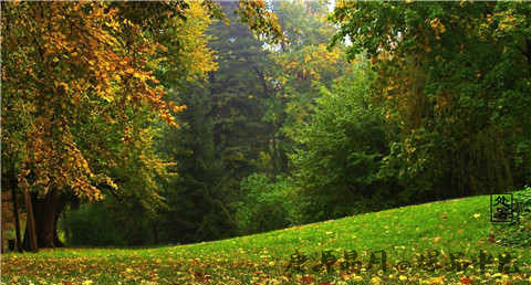 2016处暑是什么时候