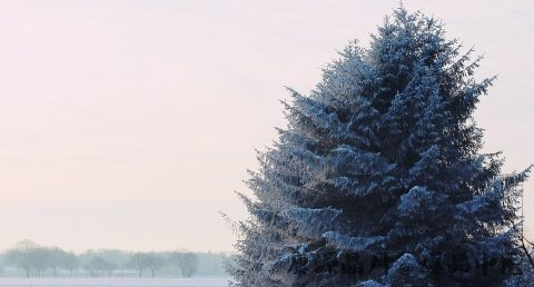 冬至的来历传说故事