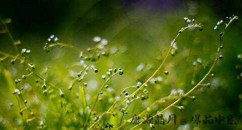 立夏吃什么