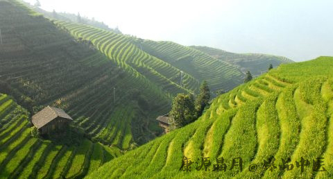小满节气什么意思