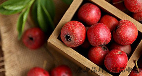 大雪节气宜进补养生