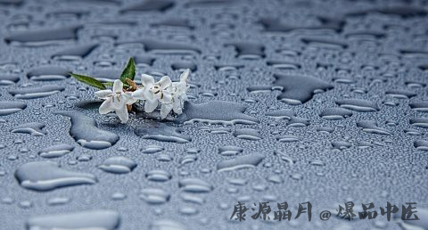 雨水节气的相应美食
