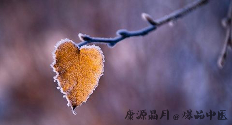 霜降代表什么意思