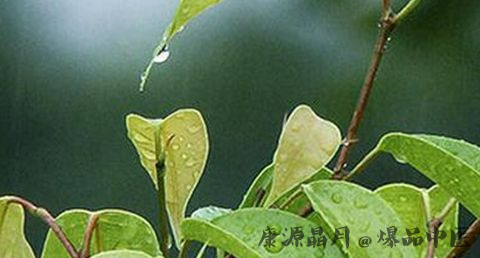 雨水节气有什么讲究