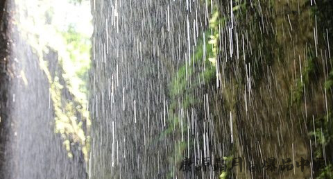 雨水节气养生要点