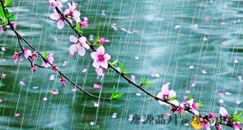 雨水节气养生的常识