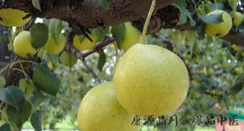 惊蛰节气吃什么养生
