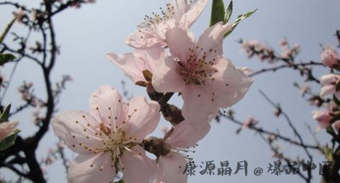 谷雨节气适宜结婚吗