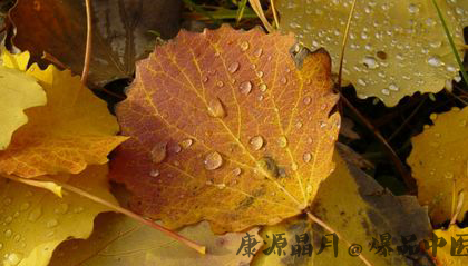 23日秋分至 秋分是什么意思