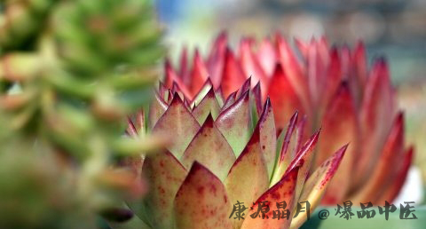 走亲戚送什么礼物