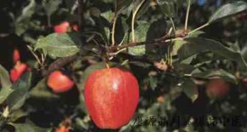 立冬吃饺子的习俗