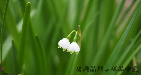 小满节气习俗