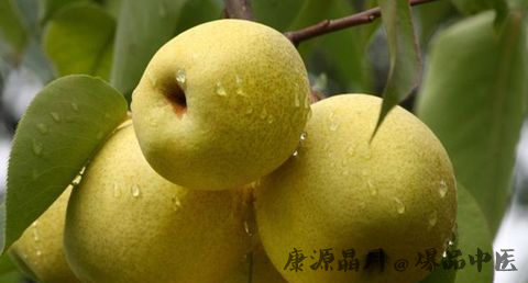 大寒养生吃什么水果