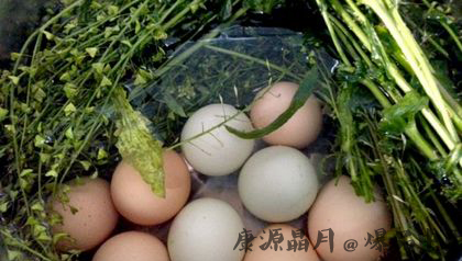 三月三为什么要吃鸡蛋