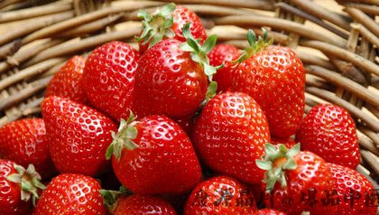 过年吃什么水果 过一个吃不胖的春节