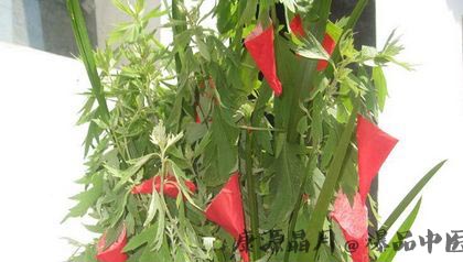 端午节为什么挂艾草