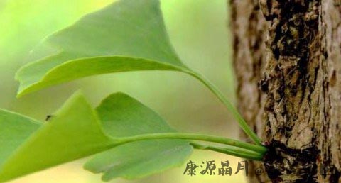 小满节气养生原则