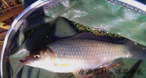 大雪节气钓鱼技巧