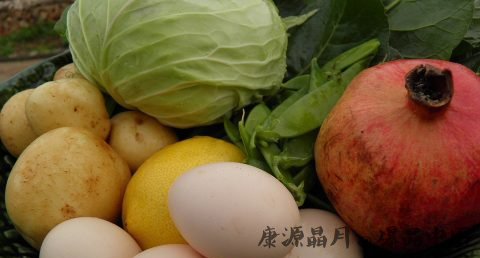 为什么年初一要吃素