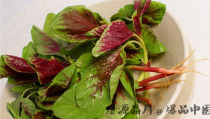 端午吃什么菜好