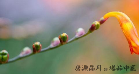 江西立春的习俗