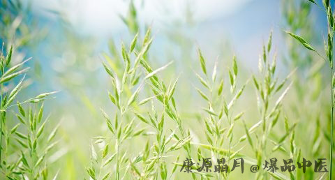 小满节气谚语