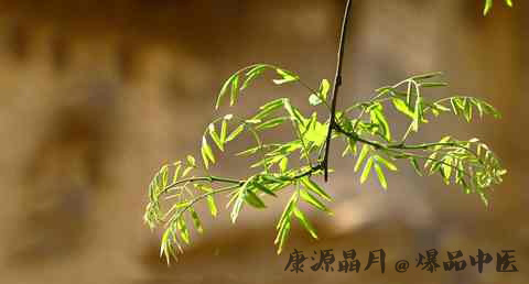 立春为什么要蹴鞠