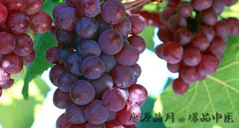 立秋吃黄瓜减肥吗