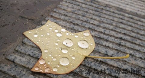 雨水节气养生要点