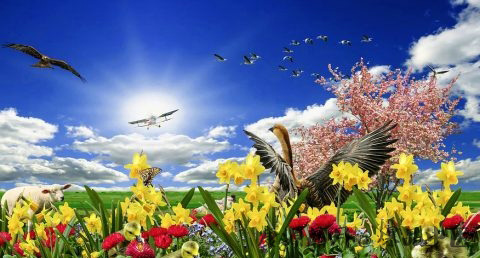 立春后天气还会冷吗 立春后天气还会冷吗