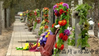 各地清明节的习俗大盘点