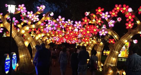 元宵节为什么要赏花灯