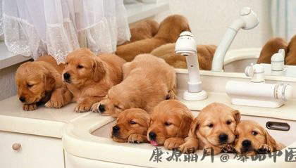 扬州六月六的八大习俗
