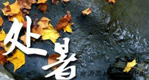 处暑节是哪天