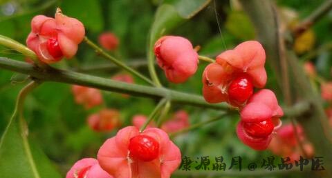闰六月是什么意思