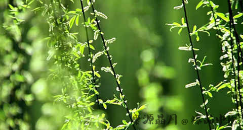 春分的由来