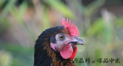 属鸡本命年佩戴什么好处