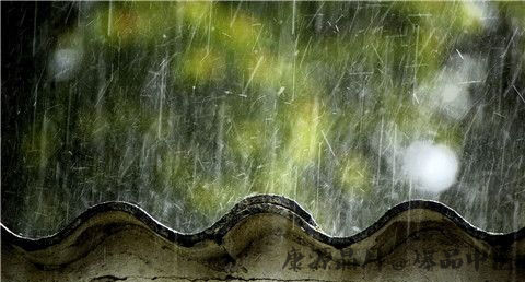 雨水节气表示什么