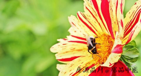 立春后天气还会冷吗 立春后天气还会冷吗