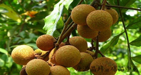 处暑是什么节气